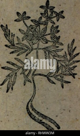 Ben Cao Bian Du Botanique Ae A E A A I T A R E Ae E A Eaºc Aººa0 Ae A E Ae Ae E E A A C A Ae Aee C A Ae A Iec Aae Ae E S A Aeµ C A E E Ae Ae Eµeµa C C C C A Eªª A Ee E Ae A Ae Ae E Aea A A C Gt Ea Ae Me A Ae Aaee A A Ilik Ei