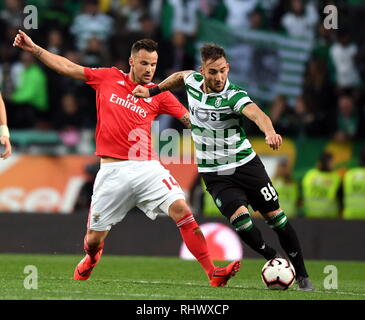 Lisbonne, Portugal. 3, 2019. Haris Seferovic (L) de Benfica Nemanja Gudelj rivalise avec d'activités sportives au cours de la Ligue portugaise match de foot entre SL Benfica et Sporting CP à Lisbonne, Portugal, le 3 février 2019. Benfica a gagné 4-2. Credit : Zhang Liyun/Xinhua/Alamy Live News Banque D'Images