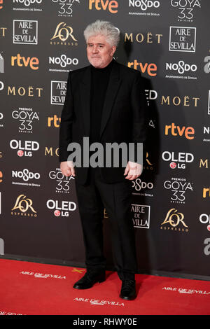 Pedro Almodovar assiste à la Goya Cinema Awards 2019 au Centre des congrès et des expositions Fibes. Banque D'Images