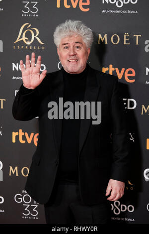 Pedro Almodovar assiste à la Goya Cinema Awards 2019 au Centre des congrès et des expositions Fibes. Banque D'Images