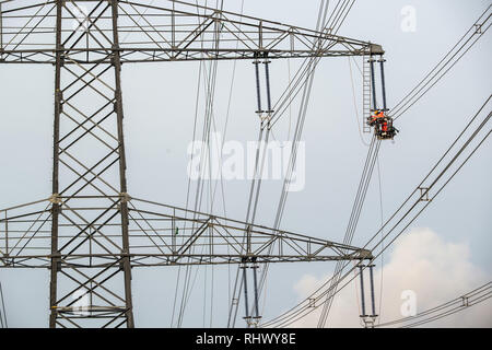 04 février 2019, en Rhénanie du Nord-Westphalie, Pulheim : Les travailleurs assemblage lignes électriques sur des colonnes d'alimentation sur un champ. Photo : Federico Gambarini/dpa Banque D'Images