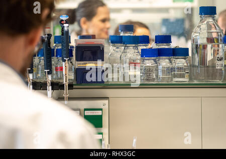 Heidelberg, Allemagne. Le 04 février, 2019. Bouteilles de produits chimiques se tiennent sur une étagère. Crédit : Sébastien Gollnow/dpa/Alamy Live News Banque D'Images