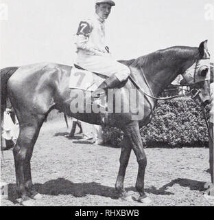 . Belmont Park, 1905-1968.. Hippodromes (courses de chevaux). Années 30 était Joseph E. Widener's Bushranger, dont le cavalier ordinaire était Henry peu. Bush a remporté les rangers- vaste creux à Belmont Park en 1935 et 1936, le Brook en 1936, et le Grand National la même année à 172 livres. Il est venu à une fin prématurée à la suite de l'année et a été enterré à Belmont Park. En 1967, le nom de Bushranger a été ajouté à la liste des plus grands dans le Hall of Fame de la na- tional Museum de courses à Saratoga. De tous les chevaux d'obstacles notables qui ont fait leur favori Belmont Park Arena, le plus solide et mieux reme Banque D'Images