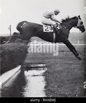 . Belmont Park, 1905-1968.. Hippodromes (courses de chevaux). Le champ : Neji, Mme Ogden Phipps' grand cavalier, prend l'eau dans le grand saut 1955 na- tional Steeple à Belmont Park. Frank (Dooley) Adams à l'essai de la victoire dans la course. Il a été Nejis première des trois Grand National gagne. 64. Veuillez noter que ces images sont extraites de la page numérisée des images qui peuvent avoir été retouchées numériquement pour plus de lisibilité - coloration et l'aspect de ces illustrations ne peut pas parfaitement ressembler à l'œuvre originale.. New York Racing Association.. La Jamaïque, N. Y. : l'Association Banque D'Images