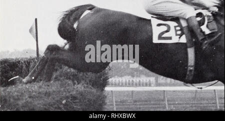 . Belmont Park, 1905-1968.. Hippodromes (courses de chevaux). . Veuillez noter que ces images sont extraites de la page numérisée des images qui peuvent avoir été retouchées numériquement pour plus de lisibilité - coloration et l'aspect de ces illustrations ne peut pas parfaitement ressembler à l'œuvre originale.. New York Racing Association.. La Jamaïque, N. Y. : l'Association Banque D'Images