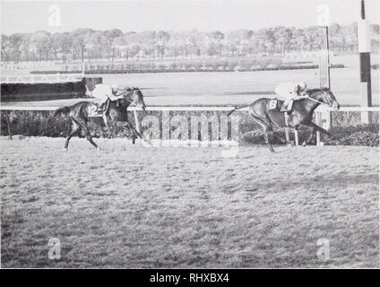 . Belmont Park, 1905-1968.. Hippodromes (courses de chevaux). Race Course, la dernière exécution. Soit dit en passant, Sword Dancer a couru, mais n'a pas gagné, dans l'enjeu final course à l'ancienne voie de la Jamaïque. C'était l'handi- cap de Brooklyn le 1 août 1959, le dernier jour de sa dernière réunion. Babu a remporté l'événement. Dans le cadre de l'Association du Grand New York, programme global, démolition de la Jamaïque grand- se a commencé à la fois, même si la piste a été utilisée pour des étables et d'entraînement pour le reste de l'année. Dans l'ordre court, la piste de la Jamaïque n'était qu'une mémoire. Un immense complexe de logement a été érigée sur elle Banque D'Images