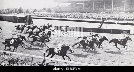 . Belmont Park, 1905-1968.. Hippodromes (courses de chevaux). rémunération précieux. Il y avait beaucoup de place pour les jeunes chevaux de course pour trouver leurs jambes sur elle sans obtenir frappé autour. Du point de vue du public, il y a le fait que les favoris s'étonnant à se former sur la suite en dépit de l'énorme des champs et de la prédominance de deux ans de courses. C'est sous l'égide de Joseph E. Élargir- er. oncle de George D. Widener, qui plus tard allait devenir président de l'Association des courses de Westchester et président du Jockey Club, que l'avenir, une course fix- ture depuis 1888 Banque D'Images