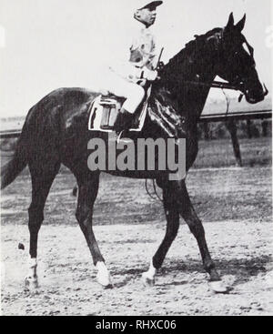 . Belmont Park, 1905-1968.. Hippodromes (courses de chevaux). L'invaincu : Colin a couru 15 fois et n'a jamais battu, bien qu'il avait serré dans le 1908 Belmont Stakes. En lui n'est pas Joe- ter, premier jockey de son époque, qui a aussi gagné avec triple handicap Balayette 11 en 1913. Mais si ces dernières années ont été les meilleurs moments, ils ont également été le pire des temps, et le fait que Belmont Park survécu eux était un hommage au courage et à la persévérance d'août à Belmont, II, architecte de la voie spirituelle, et d'autres dirigeants de l'Association des courses de Westchester. Le beau parcours à Elmont. I., L. Banque D'Images