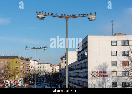 Berlin, Allemagne - le 28 janvier 2019 : Les pigeons s'asseoir sur les mâts de candélabres à Berlin. Banque D'Images