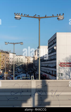 Berlin, Allemagne - le 28 janvier 2019 : Les pigeons s'asseoir sur les mâts de candélabres à Berlin. Banque D'Images