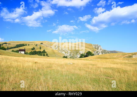 Vlasic montagne en Bosnie-Herzégovine, Shepherd's house on meadow Banque D'Images