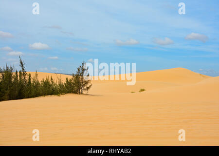 Des dunes de sable blanc près de Mui Ne dans le centre sud de la province de Bình Thuân, Vietnam Banque D'Images