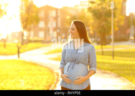 Vue avant portrait of a happy pregnant woman looking at a park face au coucher du soleil Banque D'Images