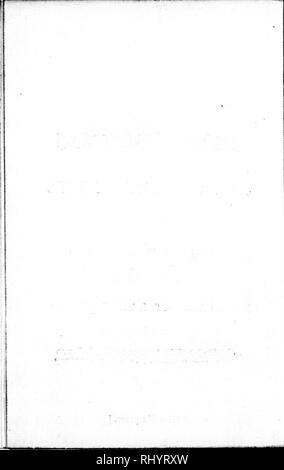 . Considérations sur l'importance du Canada et la baie et le fleuve Saint-Laurent [microforme] : et de l'American Fisheries dépendant de l'île du Cap-Breton, Saint-Jean de Terre-Neuve, et les mers adjacentes : adresse pour le très honorable William Pitt. La pêche ; pêche ; Pêches. . Veuillez noter que ces images sont extraites de la page numérisée des images qui peuvent avoir été retouchées numériquement pour plus de lisibilité - coloration et l'aspect de ces illustrations ne peut pas parfaitement ressembler à l'œuvre originale.. Londres : Imprimé pour Owen W. Banque D'Images