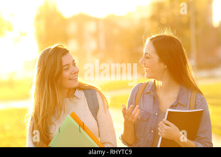 Vue avant portrait de deux professionnels étudiants marchant et parlant au coucher du soleil dans un parc Banque D'Images