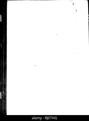 . Zoologie arctique [microform]. Les oiseaux sauvages, oiseaux. . Veuillez noter que ces images sont extraites de la page numérisée des images qui peuvent avoir été retouchées numériquement pour plus de lisibilité - coloration et l'aspect de ces illustrations ne peut pas parfaitement ressembler à l'œuvre originale.. Pennant, Thomas, 1726-1798. Londres : Imprimé par Henry Hughes Banque D'Images