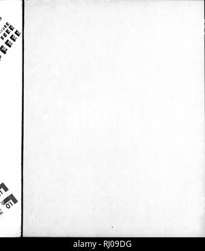. Le North American Crinoidea camerata [microform]. Crinoidea, combustibles ; fossiles crinoïdes. . Veuillez noter que ces images sont extraites de la page numérisée des images qui peuvent avoir été retouchées numériquement pour plus de lisibilité - coloration et l'aspect de ces illustrations ne peut pas parfaitement ressembler à l'œuvre originale.. Wachsmuth, Charles, 1829-1896 ; Springer, Frank, 1848-1927. [Cambridge Mass. ] : Imprimé pour le Musée Banque D'Images