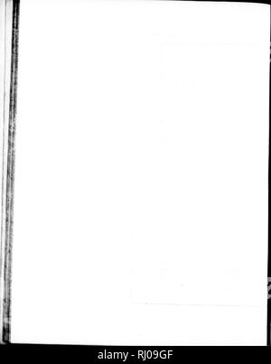 . L'annexe au Capitaine Parry's journal d'un deuxième voyage pour [microforme] : la découverte d'un passage du nord-ouest de l'Atlantique au Pacifique, réalisée dans Sa Majesté de Fury et Hecla navires dans les années 1821-1822-23. La science ; botanique ; Sciences ; Botanique. . Veuillez noter que ces images sont extraites de la page numérisée des images qui peuvent avoir été retouchées numériquement pour plus de lisibilité - coloration et l'aspect de ces illustrations ne peut pas parfaitement ressembler à l'œuvre originale.. William Edward Parry, Sir, 1790-1855. Londres : J. Murray Banque D'Images