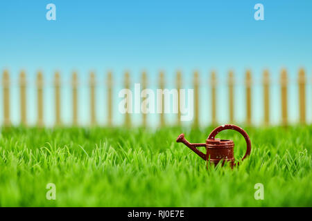 Petit arrosoir sur un pré vert dans le jardin en été Banque D'Images