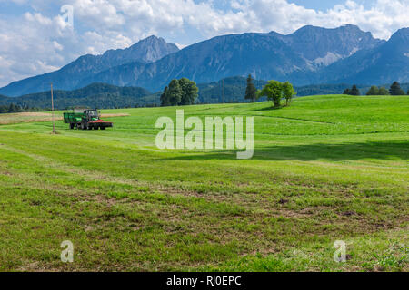Vue paysage bavarois dans les contreforts des Alpes de la ville de Füssen avec un pré vert au premier plan, le tracteur et le foin gatherer à l'arrière de t Banque D'Images