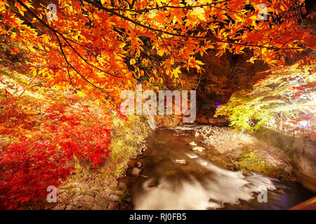 La Gorge de belle rivière Oirase druing la saison d'automne, le Japon Banque D'Images