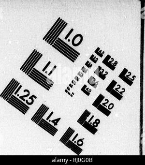 . Général du Canada [microforme]. Oiseaux, ornithologie, les oiseaux, l'ornithologie. TEST D'ÉVALUATION D'IMAGE CIBLE (MT-3). 1.0 |4J 122 11,25 12,0 1,1 s La. Veuillez noter que ces images sont extraites de la page numérisée des images qui peuvent avoir été retouchées numériquement pour plus de lisibilité - coloration et l'aspect de ces illustrations ne peut pas parfaitement ressembler à l'œuvre originale.. Le Moine, J. M. (James MacPherson), Sir, 1825-1912. [Le Québec ?  : S. n. ] Banque D'Images