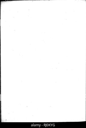 . Zoologie arctique [microform]. Les oiseaux sauvages, oiseaux. . Veuillez noter que ces images sont extraites de la page numérisée des images qui peuvent avoir été retouchées numériquement pour plus de lisibilité - coloration et l'aspect de ces illustrations ne peut pas parfaitement ressembler à l'œuvre originale.. Pennant, Thomas, 1726-1798. Londres : Imprimé par Henry Hughes Banque D'Images