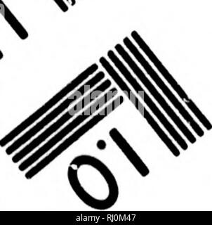 . Zoologie arctique [microform]. Les oiseaux sauvages, oiseaux. ^ '/. ^. Veuillez noter que ces images sont extraites de la page numérisée des images qui peuvent avoir été retouchées numériquement pour plus de lisibilité - coloration et l'aspect de ces illustrations ne peut pas parfaitement ressembler à l'œuvre originale.. Pennant, Thomas, 1726-1798. Londres : Imprimé par Henry Hughes Banque D'Images