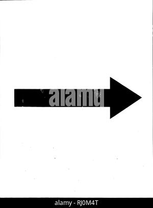 . Zoologie arctique [microform]. Les oiseaux sauvages, oiseaux. . Veuillez noter que ces images sont extraites de la page numérisée des images qui peuvent avoir été retouchées numériquement pour plus de lisibilité - coloration et l'aspect de ces illustrations ne peut pas parfaitement ressembler à l'œuvre originale.. Pennant, Thomas, 1726-1798. Londres : Imprimé par Henry Hughes Banque D'Images