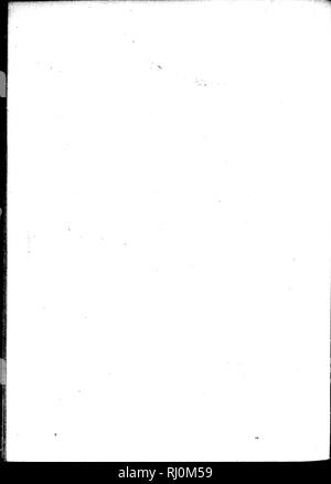 . Zoologie arctique [microform]. Les oiseaux sauvages, oiseaux. . Veuillez noter que ces images sont extraites de la page numérisée des images qui peuvent avoir été retouchées numériquement pour plus de lisibilité - coloration et l'aspect de ces illustrations ne peut pas parfaitement ressembler à l'œuvre originale.. Pennant, Thomas, 1726-1798. Londres : Imprimé par Henry Hughes Banque D'Images