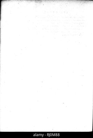 . Zoologie arctique [microform]. Mammifères ; Mammifères. . Veuillez noter que ces images sont extraites de la page numérisée des images qui peuvent avoir été retouchées numériquement pour plus de lisibilité - coloration et l'aspect de ces illustrations ne peut pas parfaitement ressembler à l'œuvre originale.. Pennant, Thomas, 1726-1798. Londres : Imprimé par Henry Hughes Banque D'Images