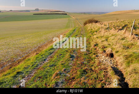 Un matin glacial le long de la route d'une ancienne voie romaine en direction de Morgan's Hill sur le Wiltshire Downs. Banque D'Images