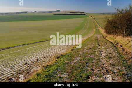 Un matin glacial le long de la route d'une ancienne voie romaine en direction de Morgan's Hill sur le Wiltshire Downs. Banque D'Images