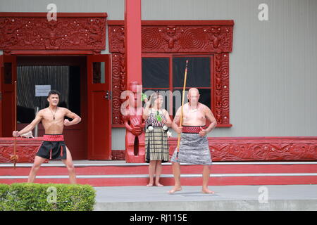Les Maoris effectuer leurs danses traditionnelles pour divertir les visiteurs à Te Puia, Rotorua, Nouvelle-Zélande Banque D'Images