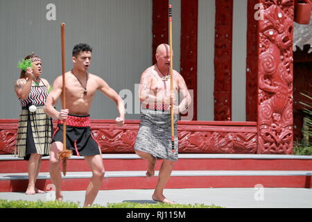 Les Maoris effectuer leurs danses traditionnelles pour divertir les visiteurs à Te Puia, Rotorua, Nouvelle-Zélande Banque D'Images