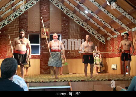 Les Maoris effectuer leurs danses traditionnelles pour divertir les visiteurs à Te Puia, Rotorua, Nouvelle-Zélande Banque D'Images