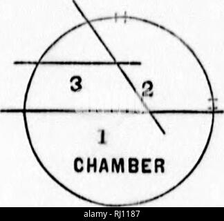 . Le castor américain et ses œuvres [microform]. Les castors ; Roulettes. 152 HFAVER TIIK-américain. I I I. V : J'Â" &AMP ; â I V I 1 4' &gt ; Fio. 12.. ArraiigÂ« nioiit, nC I'lco à I'lliiof Lotlgu la mur de. Nous sommes venus, à tlu' drptli inclios de Â" peu, à une masse d'stickfj atul boutures de différentes tailles, intégrés dans la masse ou de bricolage, de nuu'k vv'iiicli le toit était com- posée. Lorsque ces matériaux avaient été enlevés et la chambre à découvert, nous avons trouvé le toit très habilement appuyé par trois pôles, comme indiqué sur le schéma (Fig. 12). N° 1 a été G pieds 11 pouces de long, environ 2 pouces d'épaisseur, et entièrement étendu acro Banque D'Images