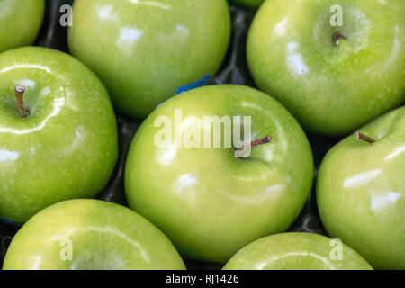 Vert frais mûrs pommes juteuses pour le fond Banque D'Images