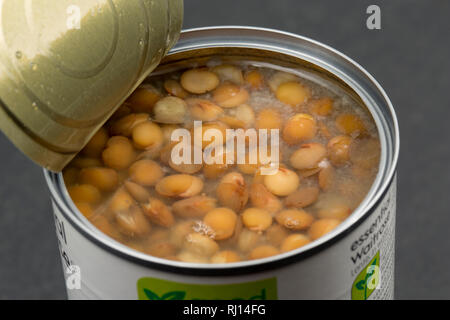 Une boîte de lentilles vertes dans de l'eau acheté dans un supermarché Waitrose. England UK GB. Photographié sur un fond foncé, ardoise. Banque D'Images