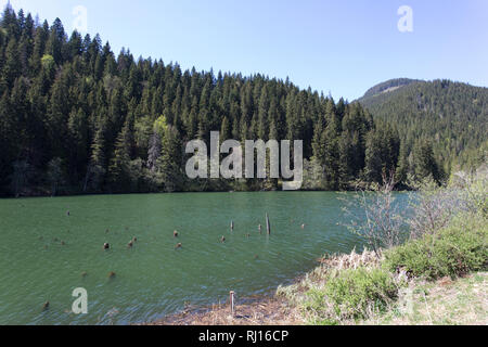 Le célèbre Red Lake en Roumanie Banque D'Images