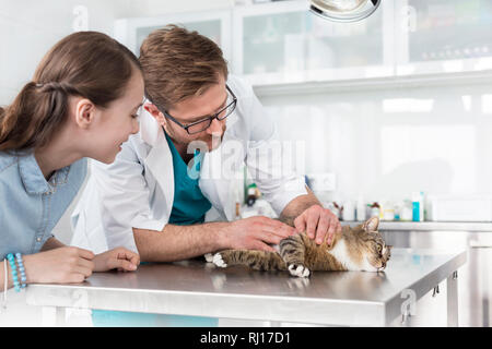 Doctor examining cat sur table en fille dans une clinique vétérinaire Banque D'Images
