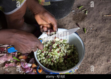 Village de samba, Province de Yako, Burkina Faso : Collette Guiguemde, 26 avec son bébé divin Ornela Zoundi, 18 mois, prépare un repas pour ses enfants et ses beaux-parents avec l'okra qu'elle vient de récolter, et fait une bouillie de sorgho ou de Tao. Banque D'Images