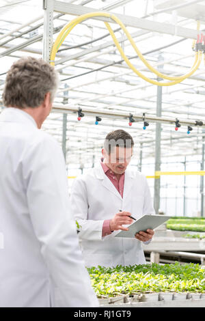 Les biochimistes de sexe masculin au milieu de plants in greenhouse Banque D'Images