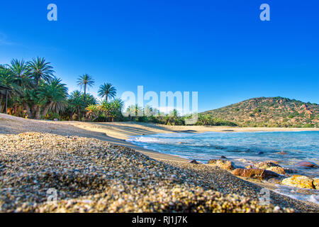 Paysage pittoresque de palmiers, eau turquoise et plage tropicale, Vai, Crète, Grèce. Banque D'Images