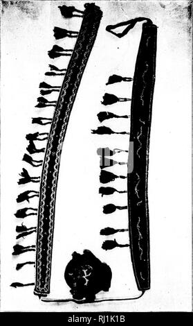 . Explorations dans le grand Nord [microforme] : être un rapport d'une expédition sous les auspices de l'Université de l'Iowa pendant les années 1892, '93 et '94. Les inuits ; histoire naturelle ; les Inuits ; sciences naturelles. '. Veuillez noter que ces images sont extraites de la page numérisée des images qui peuvent avoir été retouchées numériquement pour plus de lisibilité - coloration et l'aspect de ces illustrations ne peut pas parfaitement ressembler à l'œuvre originale.. Russell, Frank, 1868-1903. (Iowa City ?] : State University of Iowa Banque D'Images