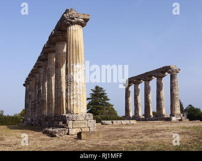 Sanctuaire d'Héra, Tavola Palatin, Benalda Metaponto, dans le sud de l'Italie Banque D'Images