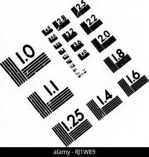 . L'évolutionniste en général [microform]. L'évolution ; biologie ; évolution ; Biologie. Cible d'ESSAI D'ÉVALUATION SMAGE (MT-3). Veuillez noter que ces images sont extraites de la page numérisée des images qui peuvent avoir été retouchées numériquement pour plus de lisibilité - coloration et l'aspect de ces illustrations ne peut pas parfaitement ressembler à l'œuvre originale.. Allen, Grant, 1848-1899. Londres : Chatto & Windus. Banque D'Images