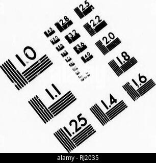 . Les mauvaises herbes, et comment les éradiquer [microform]. Les mauvaises herbes ; lutte contre les mauvaises herbes ; jardin ; Mauviases herbes, Lutte contre les. TEST D'ÉVALUATION D'IMAGE CIBLE (MT-S) Yb. Veuillez noter que ces images sont extraites de la page numérisée des images qui peuvent avoir été retouchées numériquement pour plus de lisibilité - coloration et l'aspect de ces illustrations ne peut pas parfaitement ressembler à l'œuvre originale.. Shaw, Thomas, 1843-1918. Toronto : J. E. Bryant Banque D'Images