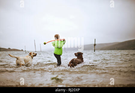Jeune garçon jouant fetch avec deux chiens dans un lac. Banque D'Images