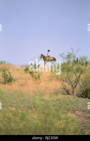 Cowboy à cheval au printemps round up sur un ranch au Texas en 1998 Banque D'Images